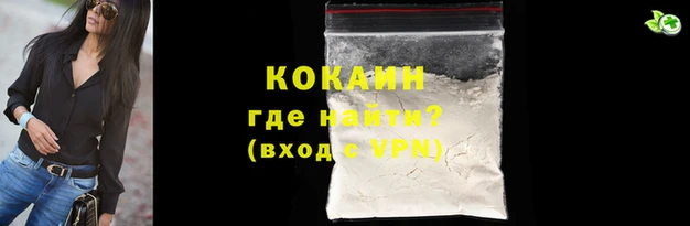 гашик Аркадак