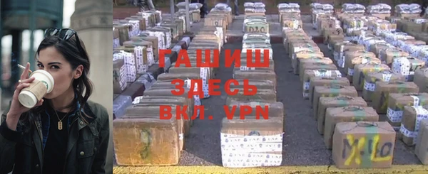 гашик Аркадак