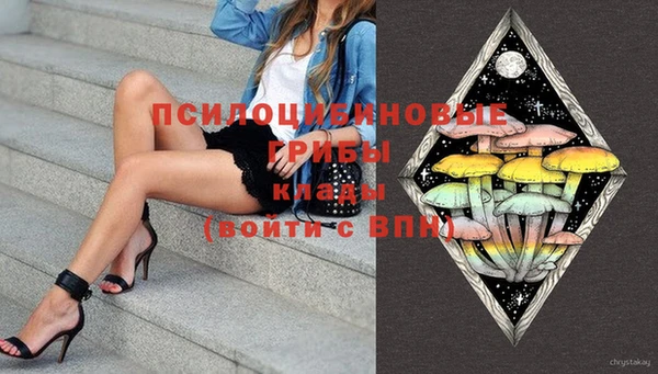 гашик Аркадак